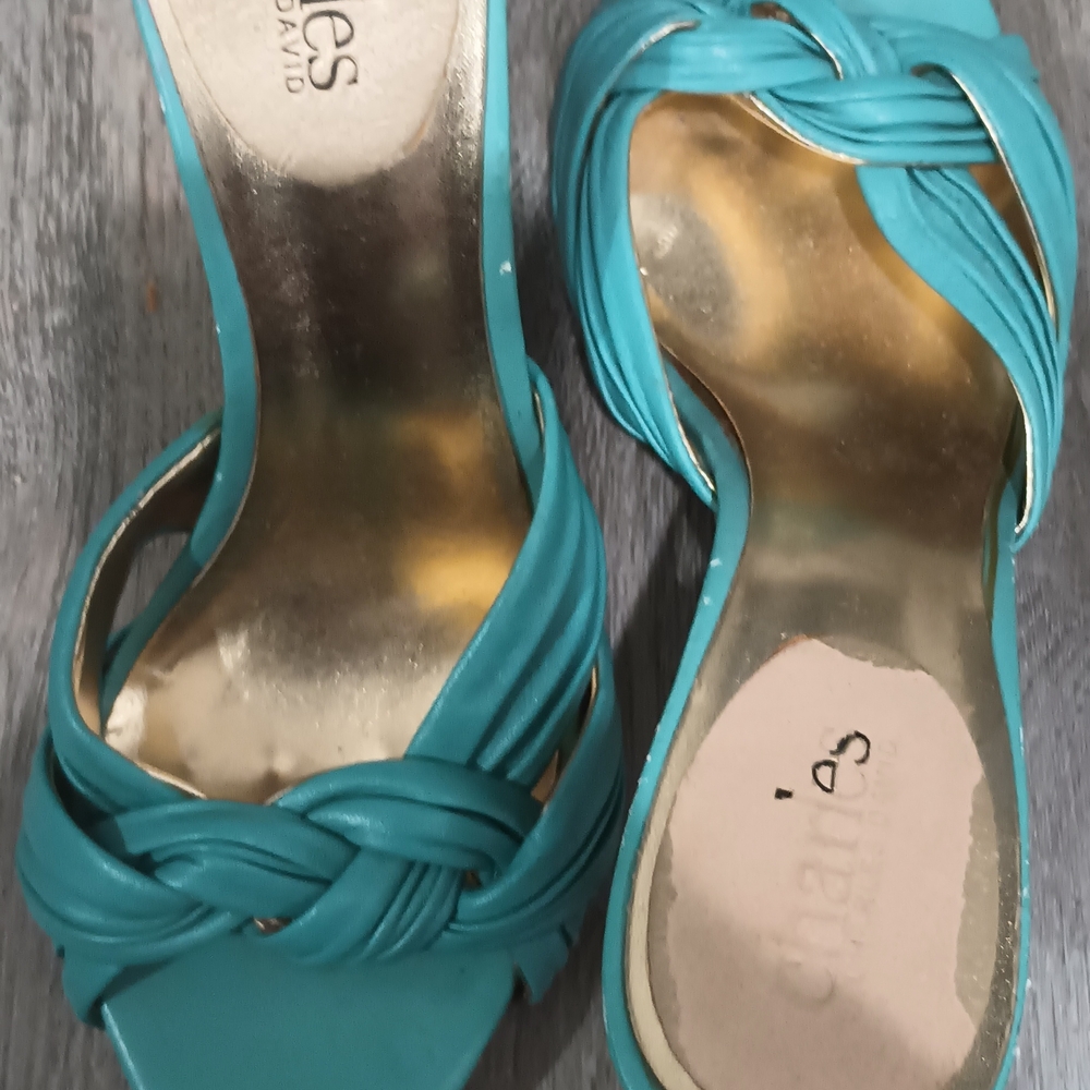 Charles David Blue Heels Elegant Design